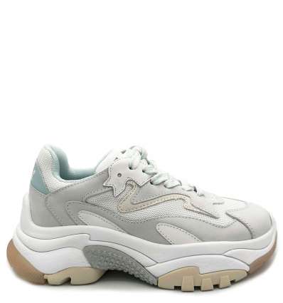 Ash addict bis outlet