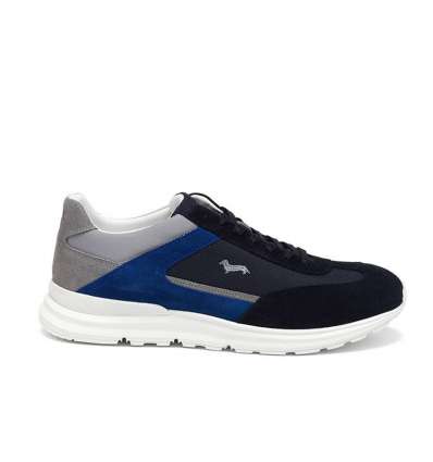 scarpe da uomo harmont e blaine