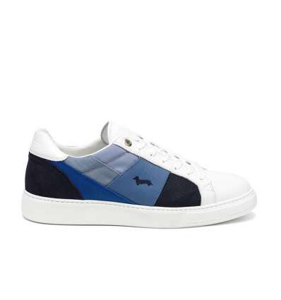 Sneaker HARMONT \u0026 BLAINE - Nino Armenise - Calzature